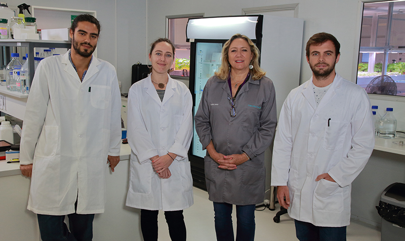 The team at Cape Bio Pharms (left to right): Francisco Pera, head of upstream research & development; Tamlyn Shaw, co-founder and chief scientific officer; Belinda Shaw, co-founder and CEO; Scott de Beer, head of downstream research & development. Ph