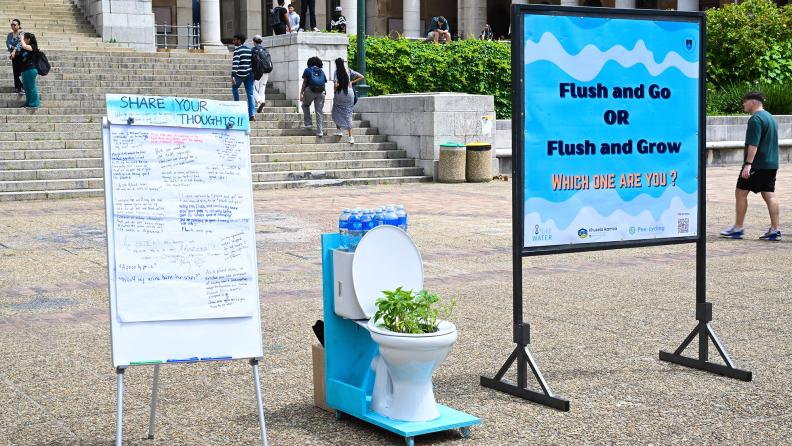 Flush and go or flush and grow