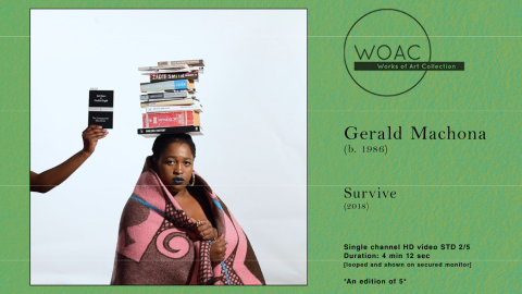 Gerald Machona: Survive. Written by Dr Fari Nzinga
