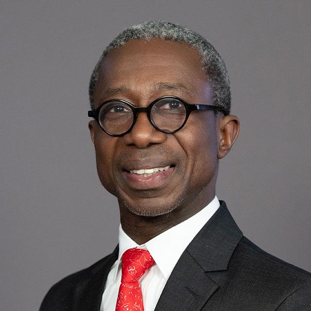 Professor Thokozani Majozi